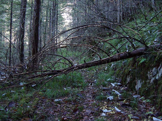 ���ː�X�ѓS��,�ѓS,�p����,����,�O����