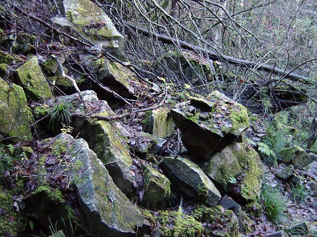 ���ː�X�ѓS��,�ѓS,�p����,����,�O����