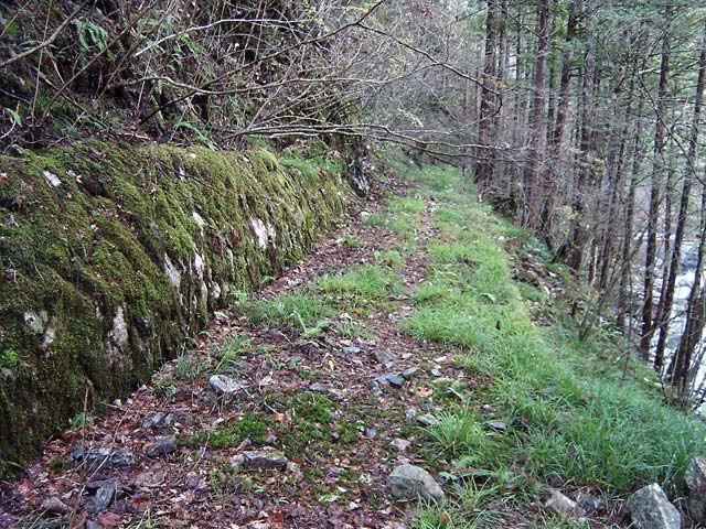 ���ː�X�ѓS��,�ѓS,�p����,����,�O����