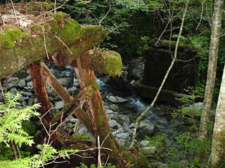 ���ː�X�ѓS��,�ѓS,�p����,�����򋴗�,�؋�