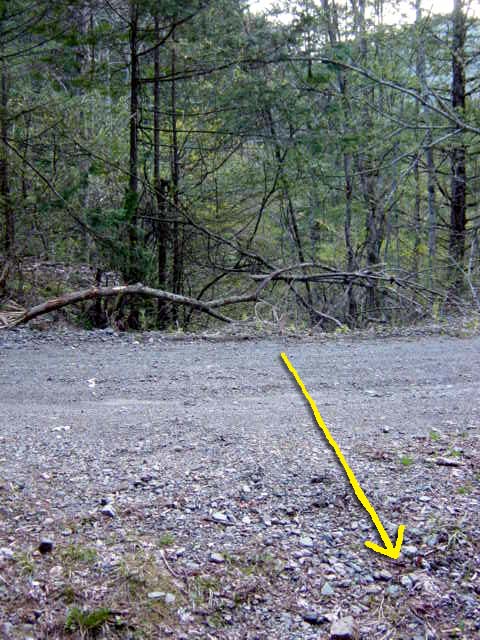 ���ː�X�ѓS��,�ѓS,�p����,����,�ѓ�������