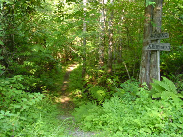 ���ː�X�ѓS��,�ѓS,�p����,�O����,�V����,����c�я�