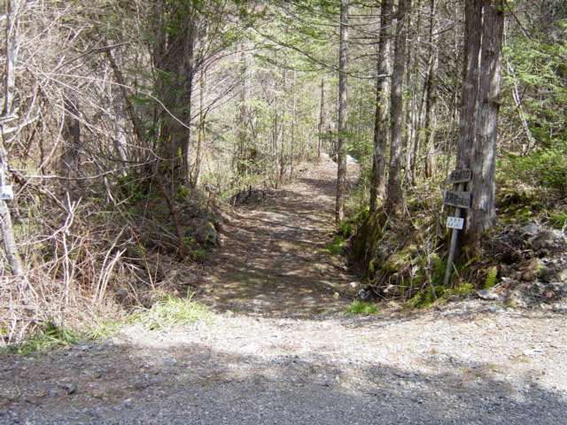 ���ː�X�ѓS��,�ѓS,�p����,�O����,�V����,����c�я�