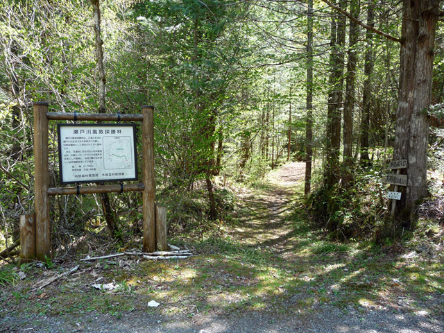 ���ː�X�ѓS��,�ѓS,�p����,�O����,�V����,����c�я�