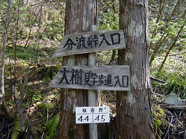 ���ː�X�ѓS��,�ѓS,�p����,�O����,�V����,���ː앗�v�T����,�w���W