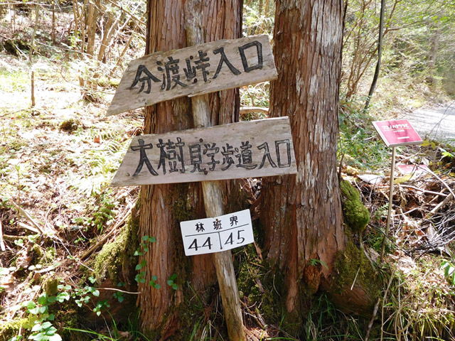 ���ː�X�ѓS��,�ѓS,�p����,�O����,�V����,���ː앗�v�T����,�w���W