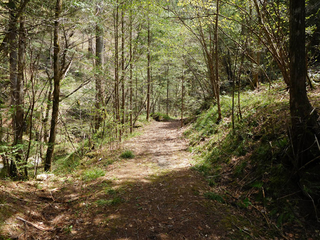 ���ː�X�ѓS��,�ѓS,�p����,�O����,�V����,����c�я�