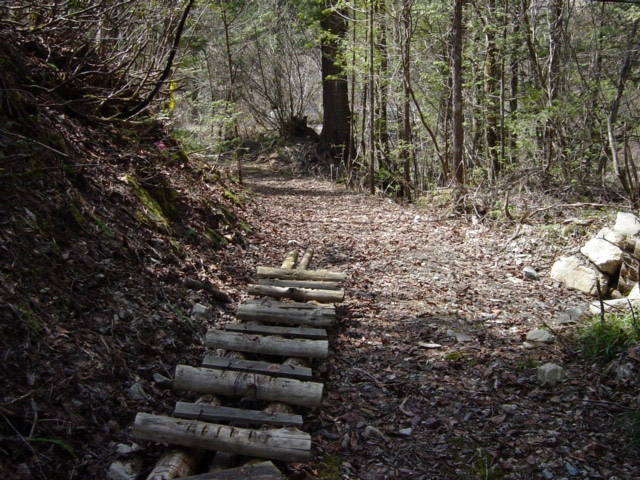 ���ː�X�ѓS��,�ѓS,�p����,�O����,���ː��񍆋���,�؋�