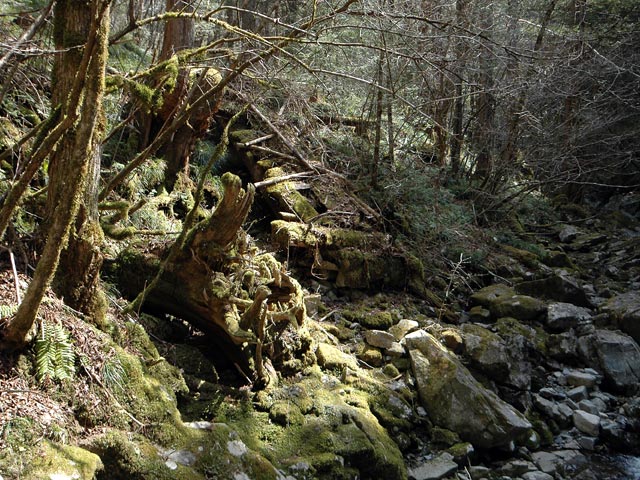 ���ː�X�ѓS��,�ѓS,�p����,�O����,�P��,�؋�