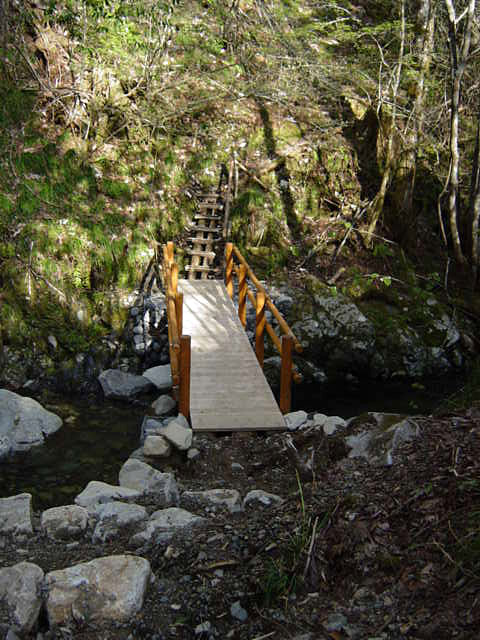 ���ː�X�ѓS��,�ѓS,�p����,�O����,�ؑ���,�ۑ���,����