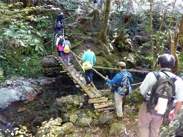 ���ː�X�ѓS��,�ѓS,�p����,�O����,�ؑ���,�ۑ���,����