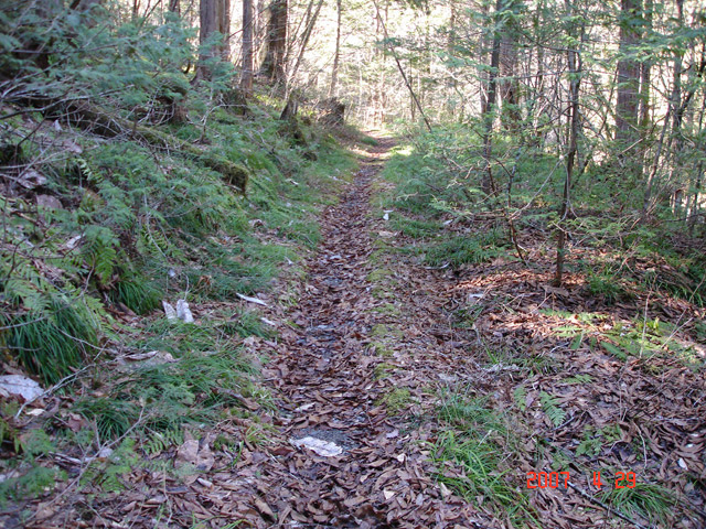 ���ː�X�ѓS��,�ѓS,�p����,�O����,�V����,���z