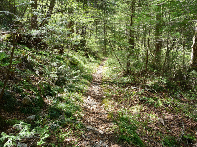 ���ː�X�ѓS��,�ѓS,�p����,�O����,�V����,���z