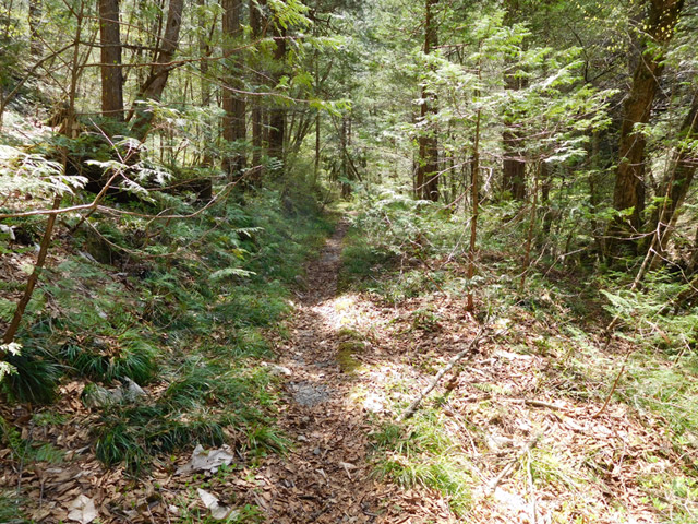 ���ː�X�ѓS��,�ѓS,�p����,�O����,�V����,���z