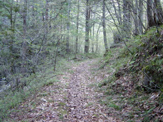 ���ː�X�ѓS��,�ѓS,�p����,�O����,�ؑ���,���ː��Q������,�V��,������