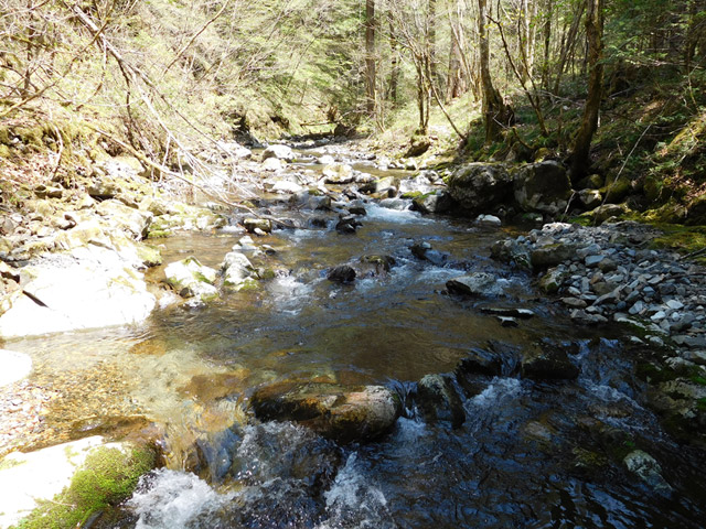 ���ː�X�ѓS��,�ѓS,�p����,�O����,�ؑ���,���ː��Q������,�V��,������