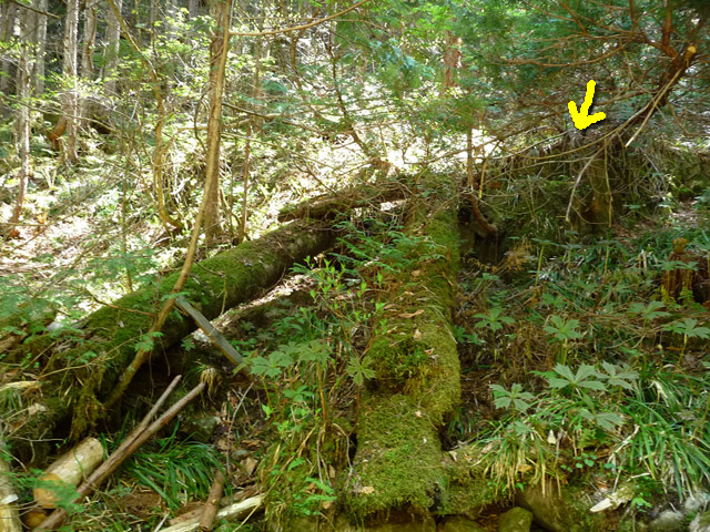 ���ː�X�ѓS��,���ː��4������,�؋�,�p����,����