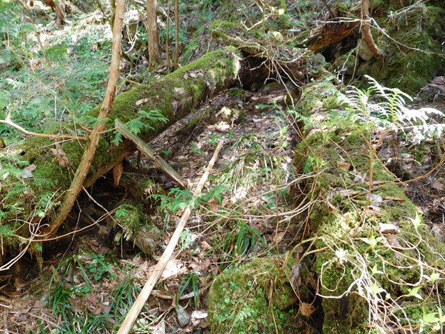 ���ː�X�ѓS��,���ː��4������,�؋�,�p����