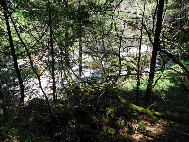 ���ː�X�ѓS��,���ː��4������,�؋�,�p����,����