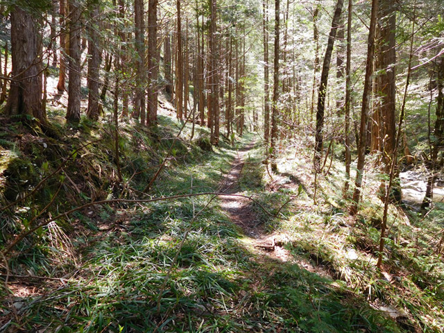 ���ː�X�ѓS��,�ѓS,�p����,�O����,�V����,����c�я�