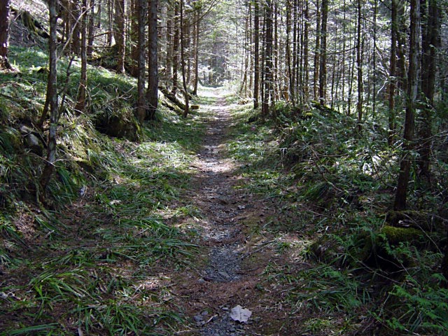 ���ː�X�ѓS��,�ѓS,�p����,�O����,�V����,����c�я�