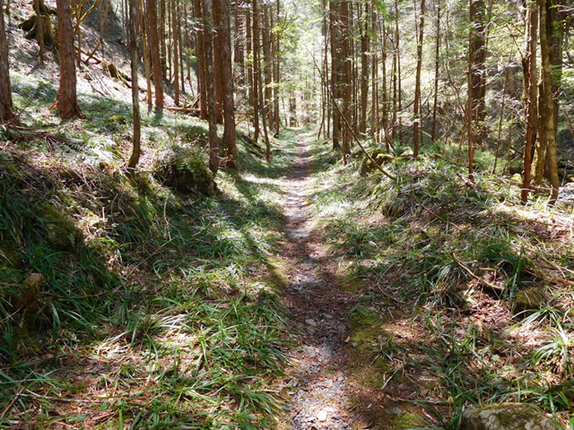 ���ː�X�ѓS��,�ѓS,�p����,�O����,�V����,����c�я�