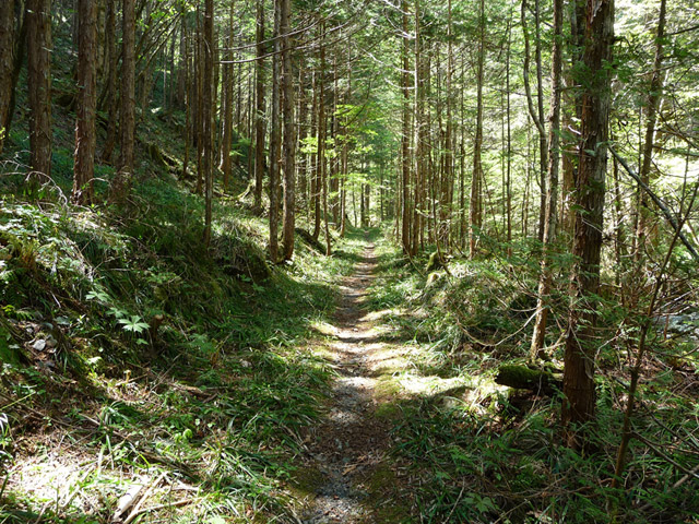 ���ː�X�ѓS��,�ѓS,�p����,�O����,�V����,����c�я�