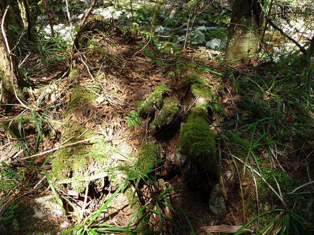 ���ː�X�ѓS��,�ѓS,�p����,�O����,����