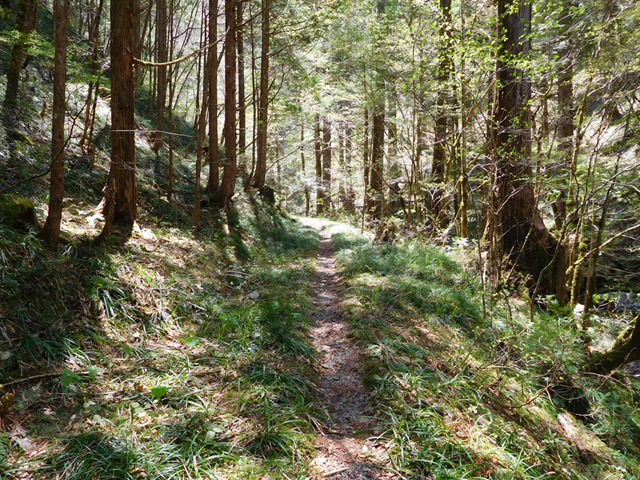 ���ː�X�ѓS��,�ѓS,�p����,�O����,�V����,����c�я�