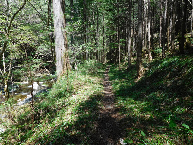 ���ː�X�ѓS��,�ѓS,�p����,�O����,�V����,����c�я�