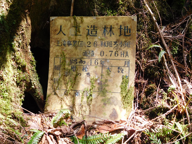 ���ː�X�ѓS��,�ѓS,�p����,�O����,�V����,����c�я�