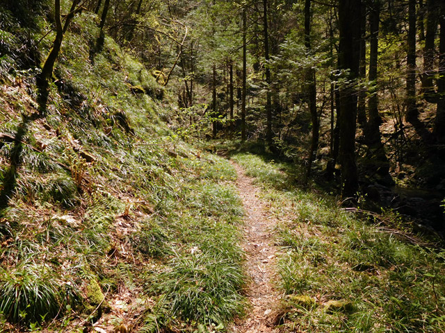 ���ː�X�ѓS��,�ѓS,�p����,�O����,���ː��񍆋���,�؋�