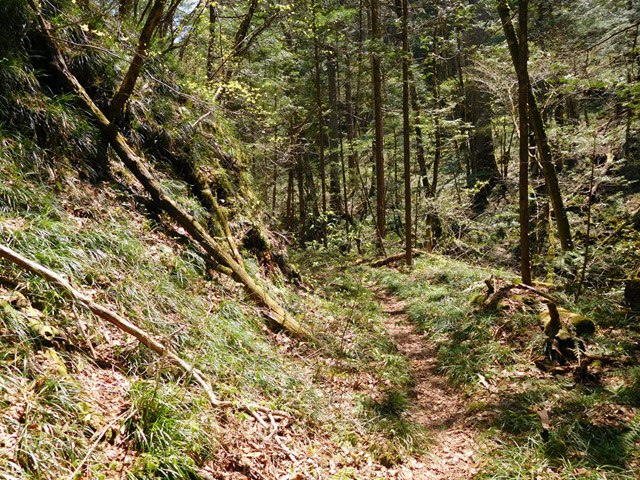 ���ː�X�ѓS��,�ѓS,�p����,�O����,���ː��񍆋���,�؋�