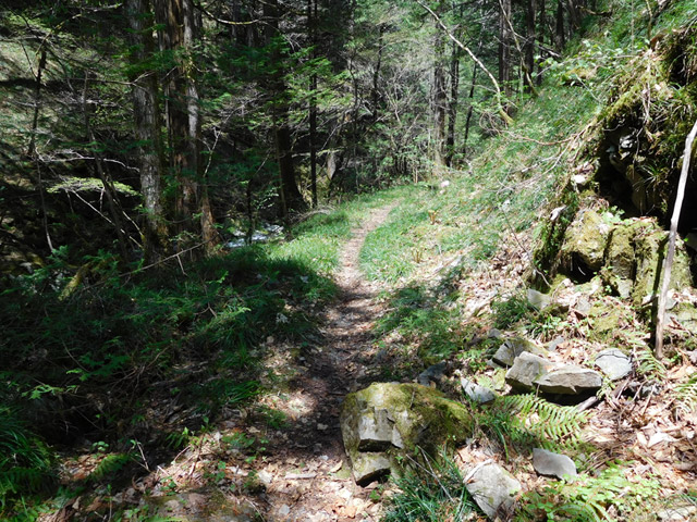 ���ː�X�ѓS��,�ѓS,�p����,�O����,���ː��񍆋���,�؋�