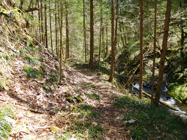 ���ː�X�ѓS��,�ѓS,�p����,�O����,�V����,����c�я�