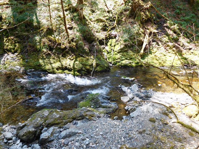 ���ː�X�ѓS��,�ѓS,�p����,�O����,�V����,����c�я�