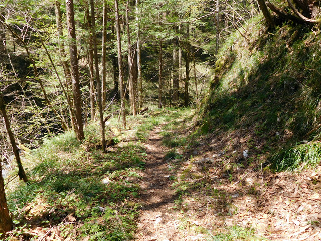 ���ː�X�ѓS��,�ѓS,�p����,�O����,�V����,����c�я�