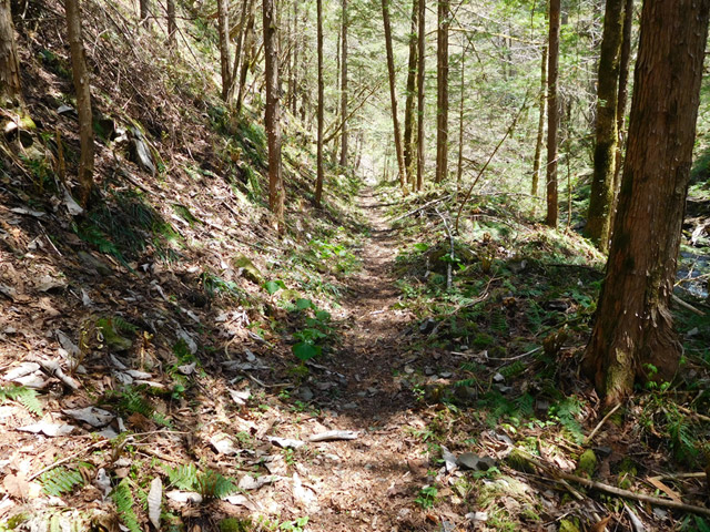 ���ː�X�ѓS��,�ѓS,�p����,�O����,�V����,����c�я�