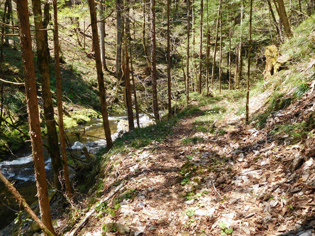 ���ː�X�ѓS��,�ѓS,�p����,�O����,���ː��񍆋���,�؋�