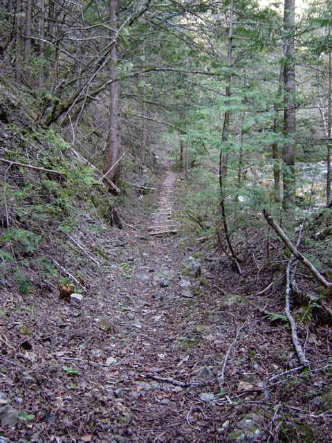 ���ː�X�ѓS��,�ѓS,�p����,�H��,���ꑺ