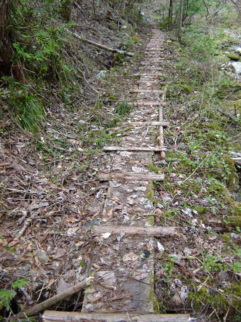 ���ː�X�ѓS��,�ѓS,�p����,�O����,�؋�,�V��