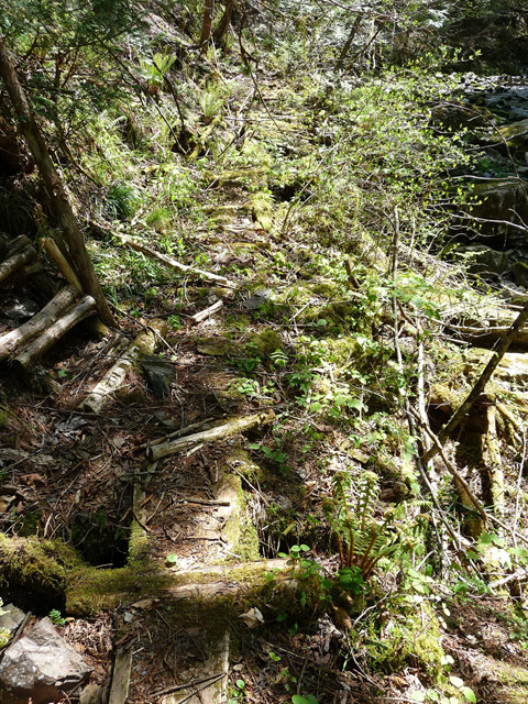 ���ː�X�ѓS��,�ѓS,�p����,�O����,�؋�,�V��