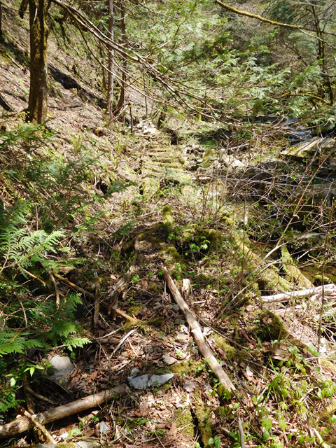 ���ː�X�ѓS��,�ѓS,�p����,�O����,�؋�,�V��