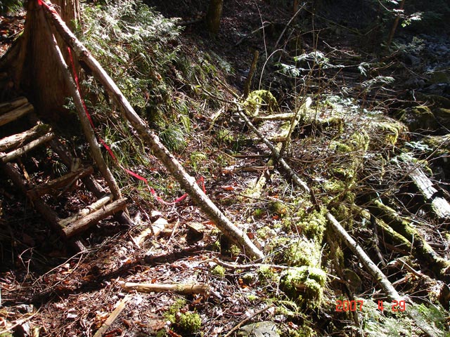 ���ː�X�ѓS��,�ѓS,�p����,�O����,�؋�,�V��