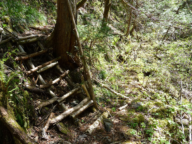 ���ː�X�ѓS��,�ѓS,�p����,�O����,�؋�,�V��