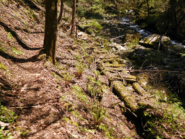 ���ː�X�ѓS��,�ѓS,�p����,�O����,�V��,�؋�