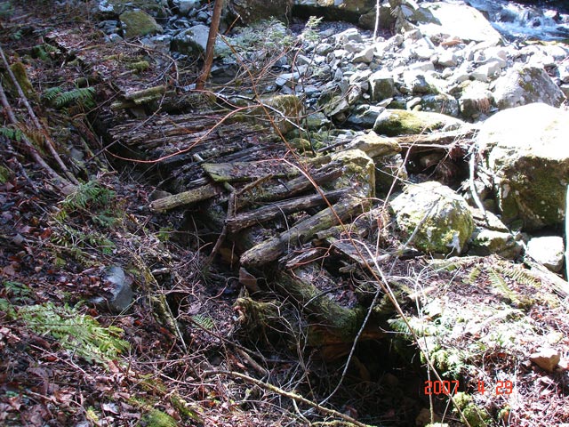 ���ː�X�ѓS��,�ѓS,�p����,�O����,�V��,�؋�