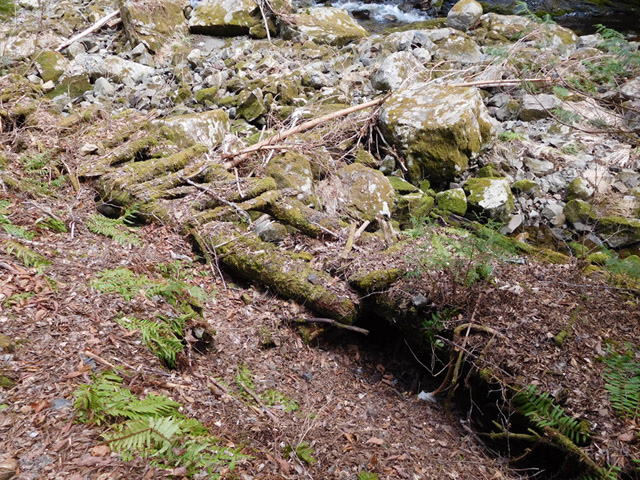 ���ː�X�ѓS��,�ѓS,�p����,�O����,�V��,�؋�