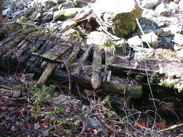 ���ː�X�ѓS��,�ѓS,�p����,�O����,�V��,�؋�