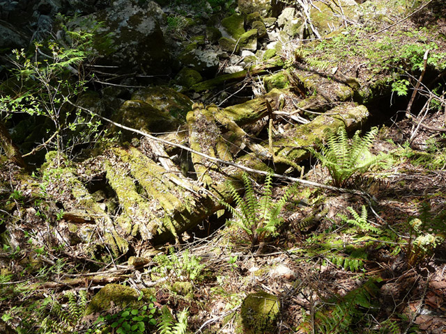 ���ː�X�ѓS��,�ѓS,�p����,�O����,�V��,�؋�